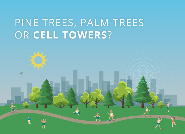 Pine Trees, Palm Trees or  Cell Towers?
