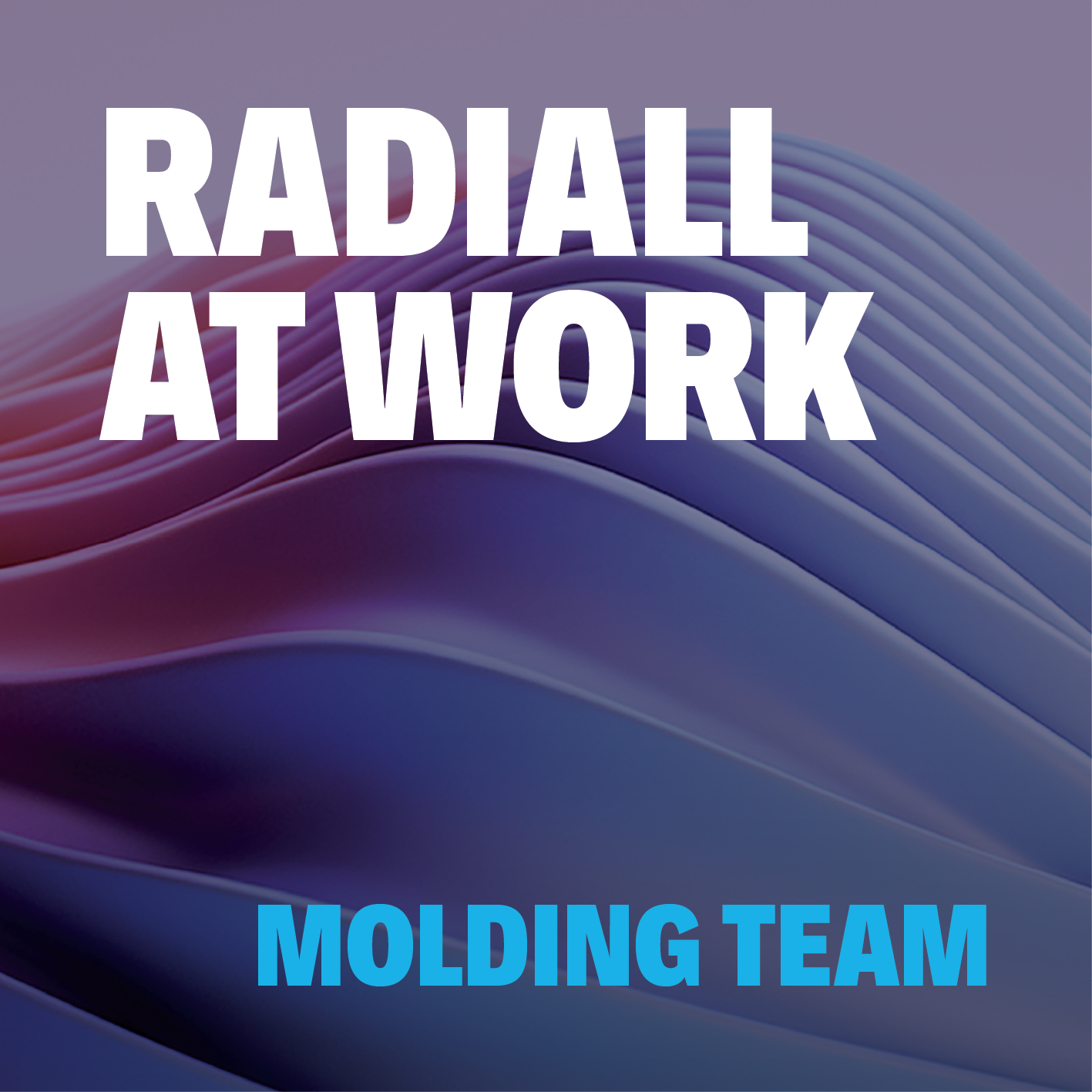 Radiall at Work: Molding Team