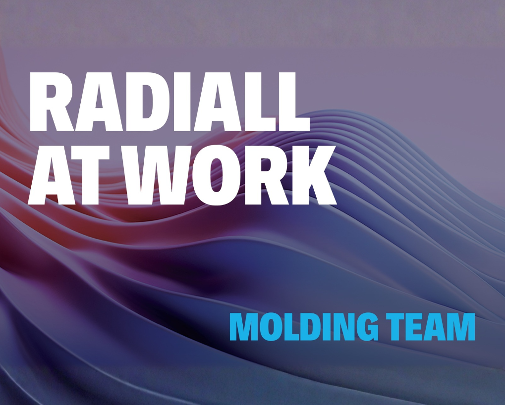 Radiall at Work: Molding Team
