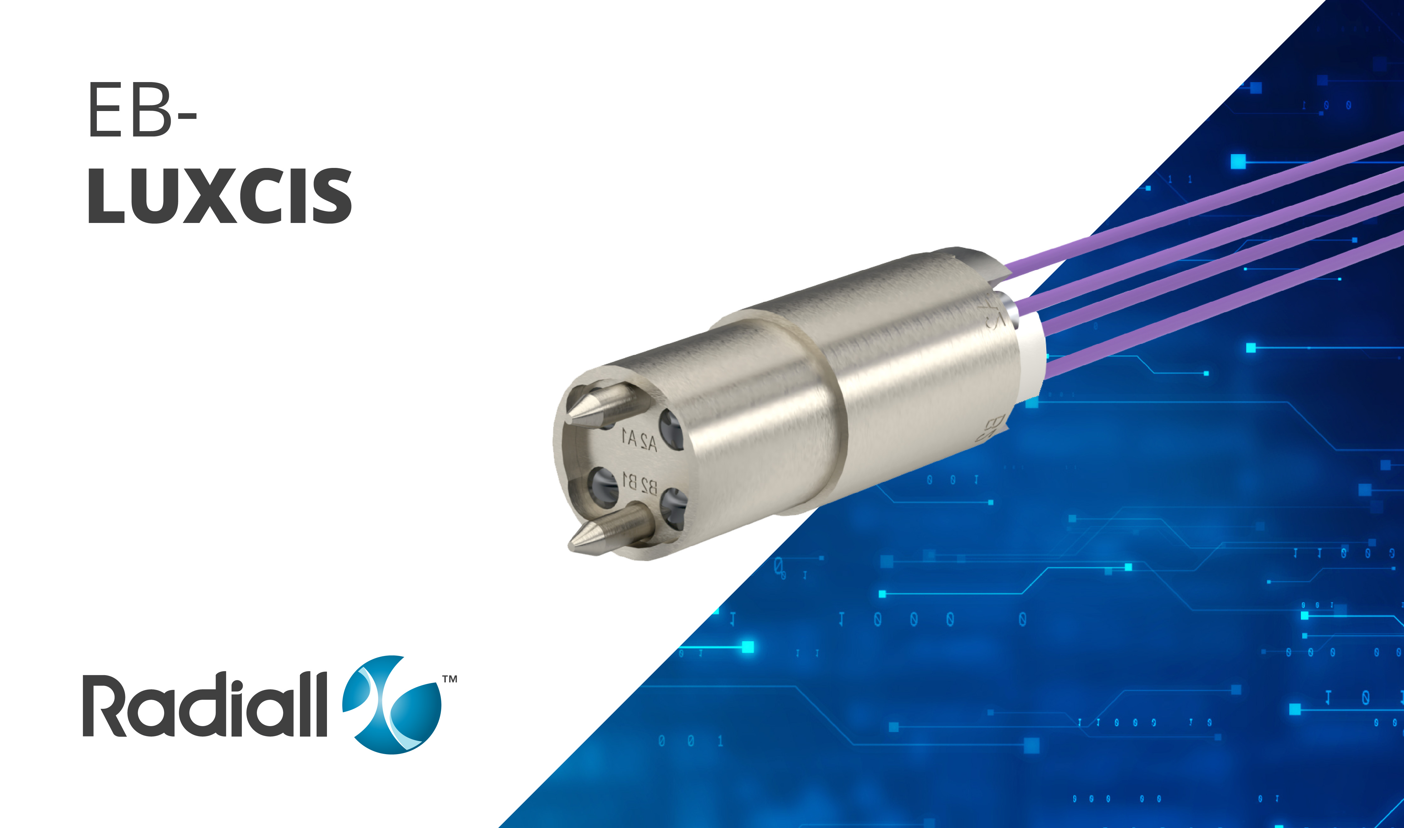 Social Media - EB-LuxCis