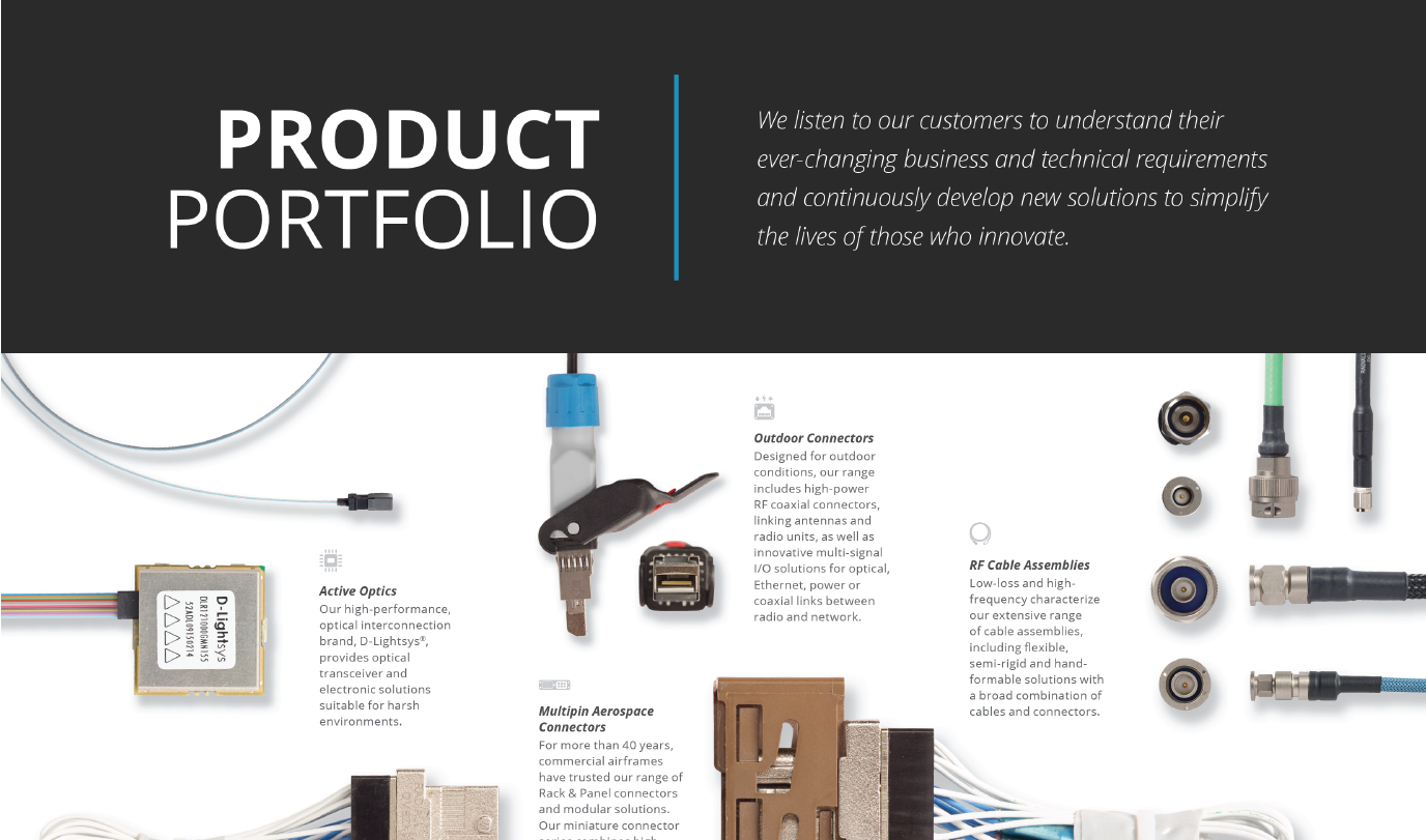 Product Portfolio Poster – 11x17