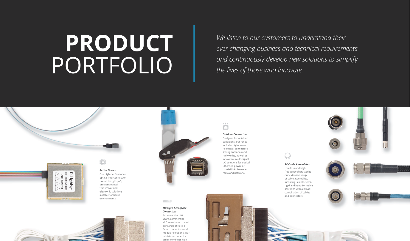 Product Portfolio Poster – 24x36